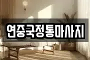 연중국정통마사지