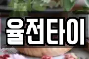 율전타이