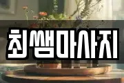 경기도 시흥시 거모동 마사지, 지압등 업체정보