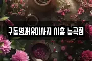 경기도 시흥시 마사지, 지압등 업체정보