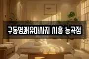 경기도 시흥시 능곡동 마사지, 지압등 업체정보