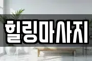 경기도 시흥시 신천동 마사지, 지압등 업체정보