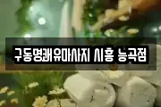 경기도 시흥시 화정동 마사지, 지압등 업체정보