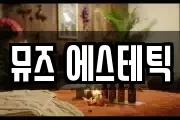 뮤즈 에스테틱