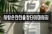 경기도 안산시 단원구 신길동 마사지, 지압등 업체정보