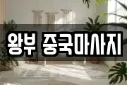 왕부 중국마사지