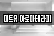 미트유 아로마테라피