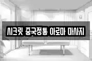 시크릿 중국정통 아로마 마사지