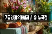 경기도 안산시 단원구 화정동 마사지, 지압등 업체정보