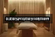 미니포크레인굴삭기덤프크레인스카이펌프카바브켓
