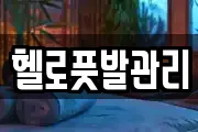 헬로풋발관리
