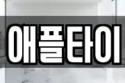 애플타이