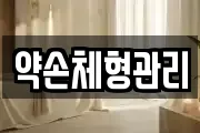 약손체형관리