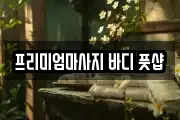 프리미엄마사지 바디 풋샵