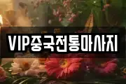 VIP중국전통마사지