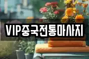 VIP중국전통마사지