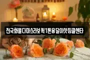 전국화물다마스라보퀵1톤용달이삿짐콜센타