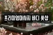 프리미엄마사지 바디 풋샵