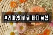 프리미엄마사지 바디 풋샵