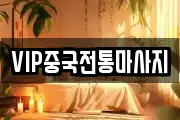 VIP중국전통마사지