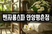 벤자롱스파 안양평촌점