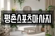 경기도 안양시 동안구 평촌동 마사지, 지압등 업체정보