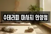 경기도 안양시 만안구 안양동 마사지, 지압등 업체정보