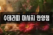 수테라피 마사지 안양점