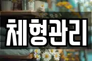체형관리