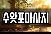 수왓포마사지