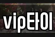 vip타이