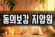 동의보감 지압원