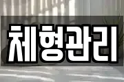체형관리