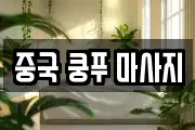 중국 쿵푸 마사지