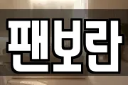 팬보란