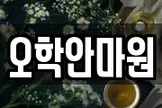 오학안마원