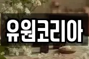유원코리아