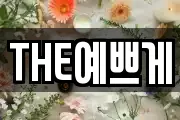THE예쁘게