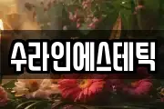 수라인에스테틱