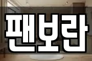 팬보란