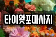 경기도 연천군 마사지, 지압등 업체정보