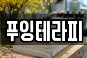 푸잉테라피