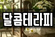 달콤테라피