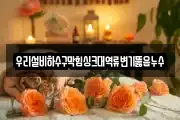 우리설비하수구막힘싱크대역류변기뚫음누수