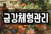 금강체형관리