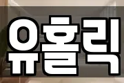 유홀릭