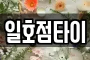 일호점타이