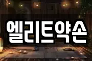 엘리트약손