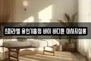 스파라엘 용인기흥점 바이 바디튠 마사지살롱