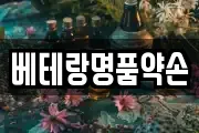 베테랑명품약손